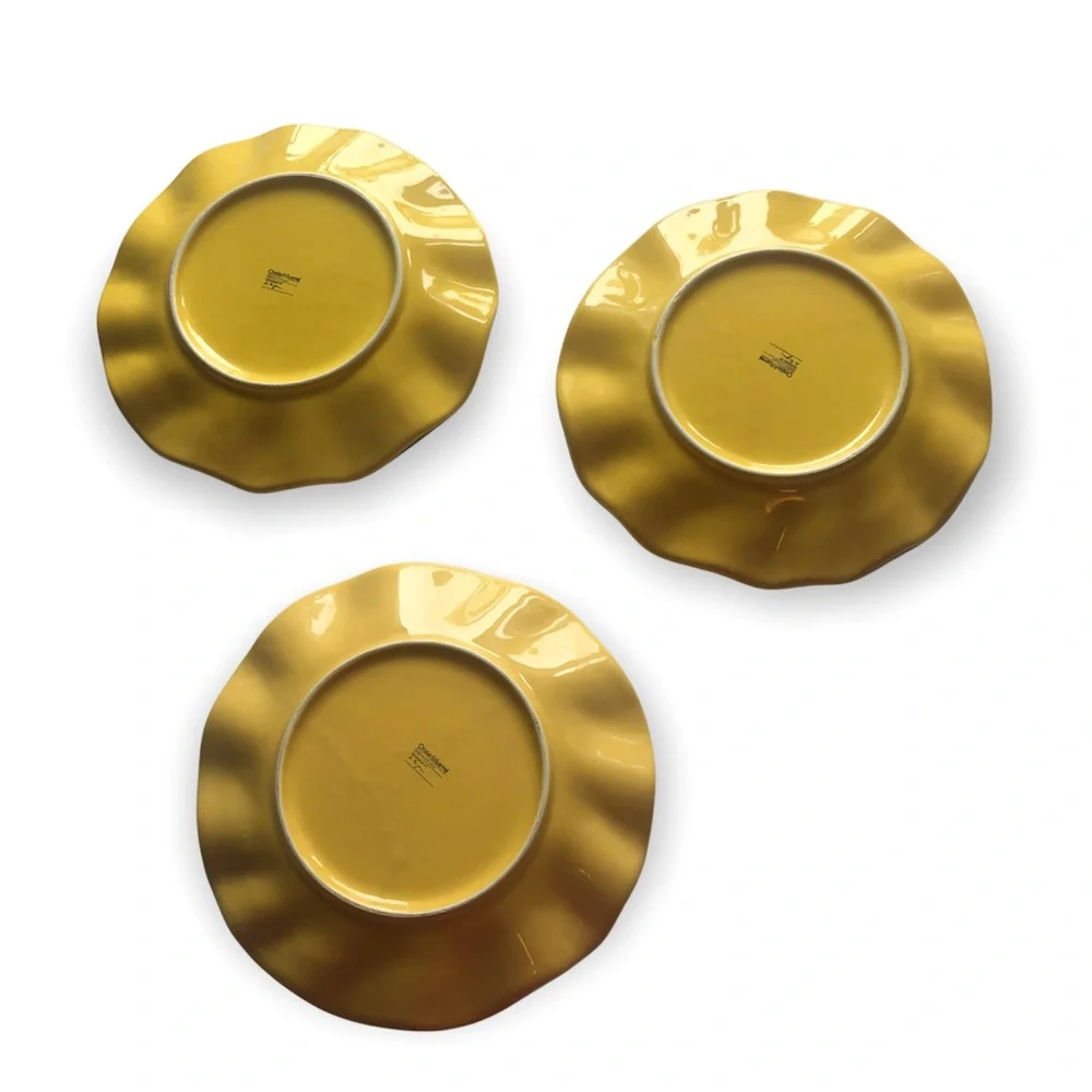 Two 2 Crate & Barrel Dinner Plates